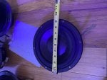 Blue Purple Wood Violet Circle